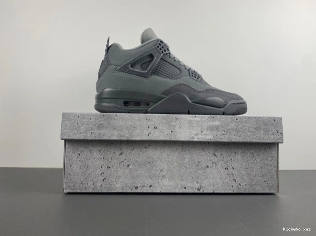Air Olympics Paris Jordan SE 4 0711